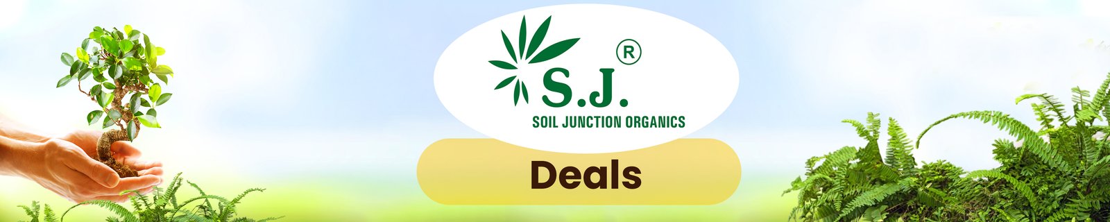 Apply 50% Off Coupon